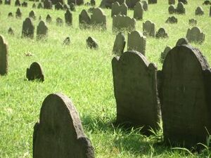 Friedhof